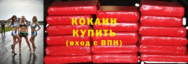 крисы Пересвет