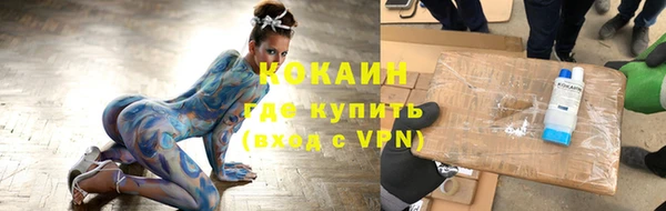 крисы Пересвет