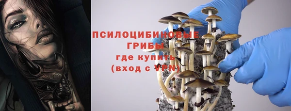 бошки Переславль-Залесский