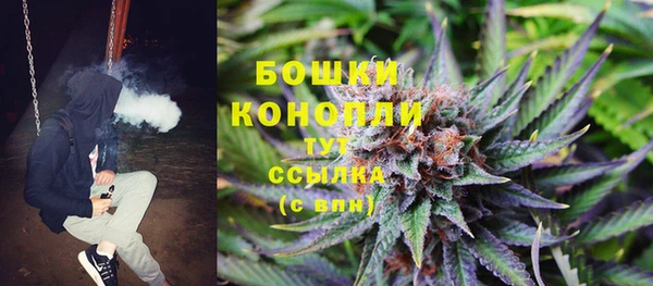 бошки Переславль-Залесский