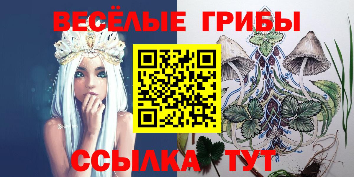 Галлюциногенные грибы MAGIC MUSHROOMS Калининград